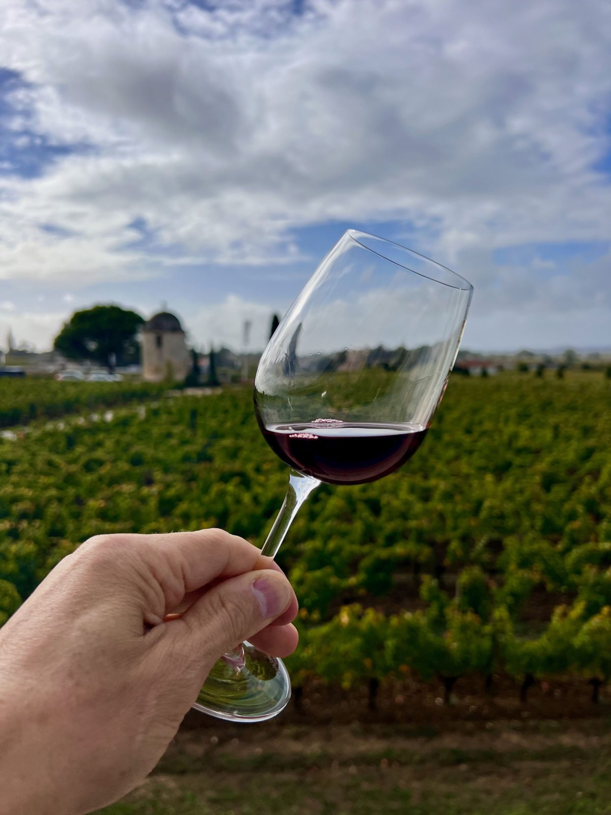 Utiel Winery Wine Tour